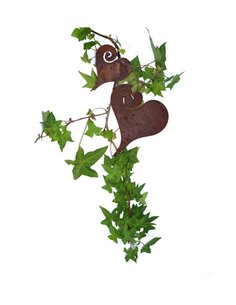 Herzige Dinge - Edelrost Dekoherzen Deko Herz Curl zum Aufhängen Höhe 15cm - Mittel Höhe 15 cm
Breite 12 cm
zum Aufhängen
 2