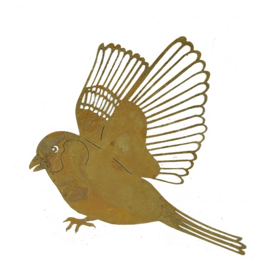 Dompfaff, fliegend zum Aufhängen