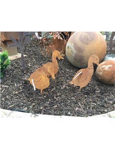 Ente von vorne, auf Platte 2