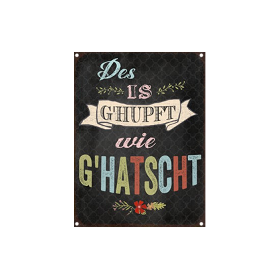 Des is g'hupft wie g'hatscht - lustiger Spruch auf Blechschild 20 x 15 cm
