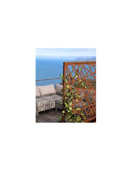 Sichtschutzwände und Paravents Deko Sichtschutzwand - Cosmopolitan - Trennwand für den Garten - Höhe 200 cm 2 mm Plasma
Höhe: 2