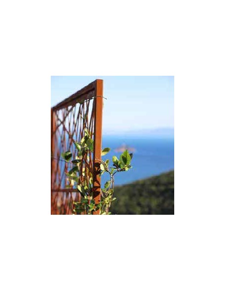 Sichtschutzwände und Paravents Deko Sichtschutzwand - Cosmopolitan - Trennwand für den Garten - Höhe 200 cm 2 mm Plasma
Höhe: 2