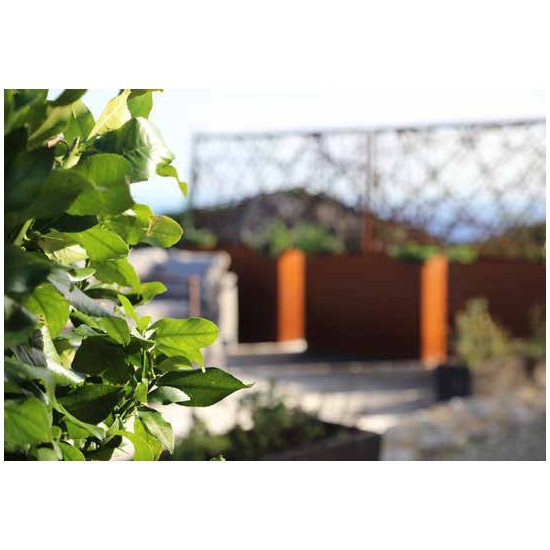 Sichtschutzwände und Paravents Topf für Sichtschutzwände mit 2 Halterungen Breite: 120 cm
Höhe: 80 cm
Tiefe: 25 cm