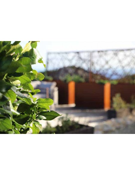 Sichtschutzwände und Paravents Topf für Sichtschutzwände mit 2 Halterungen Breite: 120 cm
Höhe: 80 cm
Tiefe: 25 cm