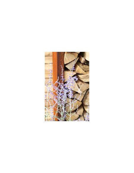 Start Hoher, schlichter Haus- Holzstabler mit Rahmen, Höhe 149 cm, Breite 100 cm, Tiefe 34 cm Hoher, schlichter Haus- Holzstable Start Hoher, schlichter Haus- Holzstabler mit Rahmen, Höhe 149 cm, Breite 100 cm, Tiefe 34 cm Hoher, schlichter Haus- Holzstable
