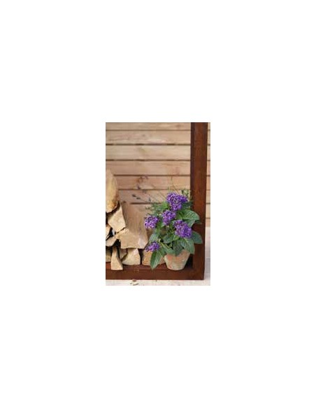 Start Breiter, schlichter Haus-Holzstabler mit Rahmen, Höhe 149 cm, Breite 100 cm, Tiefe 34 cm Breiter, schlichter Haus-Holzstab Start Breiter, schlichter Haus-Holzstabler mit Rahmen, Höhe 149 cm, Breite 100 cm, Tiefe 34 cm Breiter, schlichter Haus-Holzstab