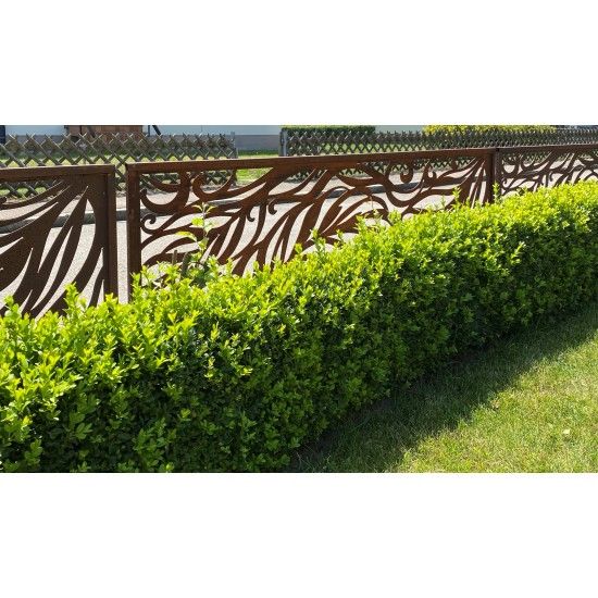 Sichtschutzwände und Paravents Edelrost Sichtschutzwand - fedrig - Variante B  - Höhe 202 cm Rost-Metall Sichtschutzwand "fedrig