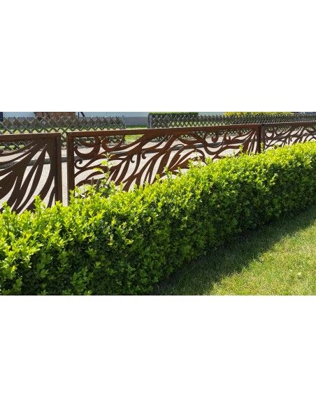 Sichtschutzwände und Paravents Edelrost Sichtschutzwand - fedrig - Variante B  - Höhe 202 cm Rost-Metall Sichtschutzwand "fedrig