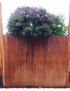 Blumentöpfe - Pflanztöpfe in Edelrost Hochbeet schmal, Pflanz-Behälter, rechteck 120 breit Höhe 80 cm Tiefe 30 cm