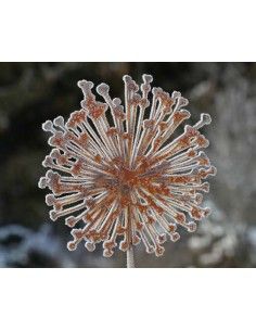 Gartenstecker Allium Rost Metall 2