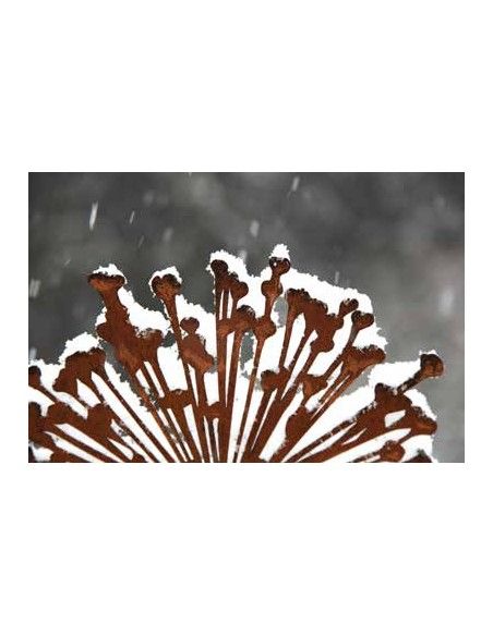 Blumenstecker Edelrost Blumenstecker Allium 40cm Durchmesser (flach) Gesamthöhe 160 cm 
Dekorativer Blumenstab Allium
Gesamtlä