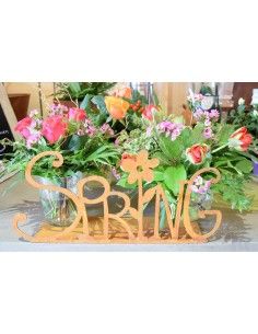 Schriftzug Spring 2