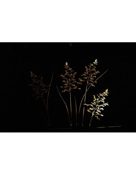 Sichtschutzwände und Paravents Gras Raumteiler 120 cm breit mit Ausschnitten auf beiden Seiten H 100 cm T 20 cm 
toller Raumtei