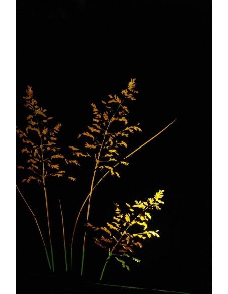 Sichtschutzwände und Paravents Gras Raumteiler 120 cm breit mit Ausschnitten auf beiden Seiten H 100 cm T 20 cm 
toller Raumtei