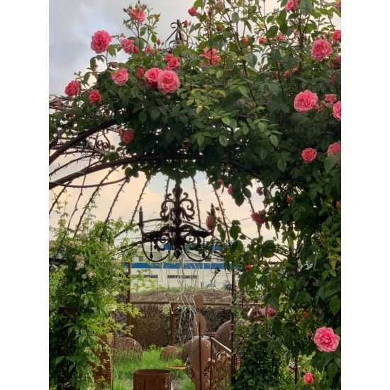 Deko zum Hängen Kronleuchter für Kerzen zum Hängen mit Tablett Ablage, H 54 cm, B 50 cm Kronleuchter 3D zum Aufhängen mit Ablage