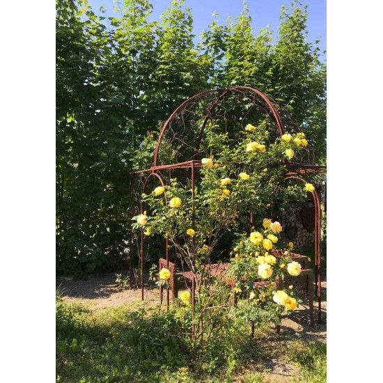 Start Rank-Pavillon Oase, 2,5 x 2,5 x 3,5 m 