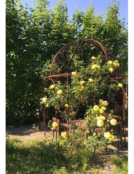 Start Rank-Pavillon Oase, 2,5 x 2,5 x 3,5 m 