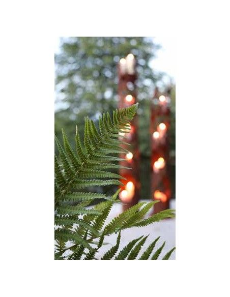 Windlichtsäule Metall oder Holz mit Glas  Windlichtsäule Vogel 180 cm - runde Rostsäule mit Ästen und Vögelchen 
Im Sommer kann Windlichtsäule Metall oder Holz mit Glas  Windlichtsäule Vogel 180 cm - runde Rostsäule mit Ästen und Vögelchen 
Im Sommer kann