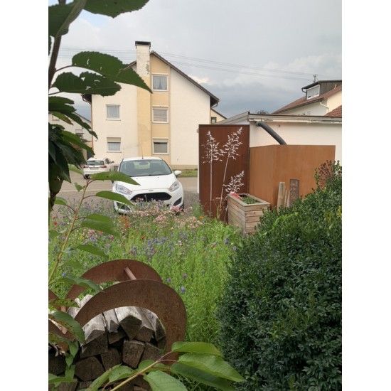 Sichtschutzwände und Paravents Sichtschutzwand Metall Gräser Motiv - 200 x 100 cm - Sichtschutzelement Rost 



Diese Sichts