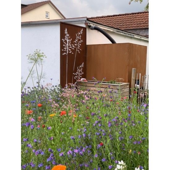 Sichtschutzwände und Paravents Sichtschutzwand Metall Gräser Motiv - 200 x 100 cm - Sichtschutzelement Rost 



Diese Sichts