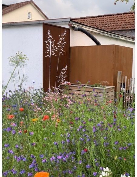 Sichtschutzwände und Paravents Sichtschutzwand Metall Gräser Motiv - 200 x 100 cm - Sichtschutzelement Rost 



Diese Sichts