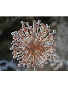 Blumenstecker  Allium Gartendeko rostig Metall Roststecker Rostblume Pusteblume 2