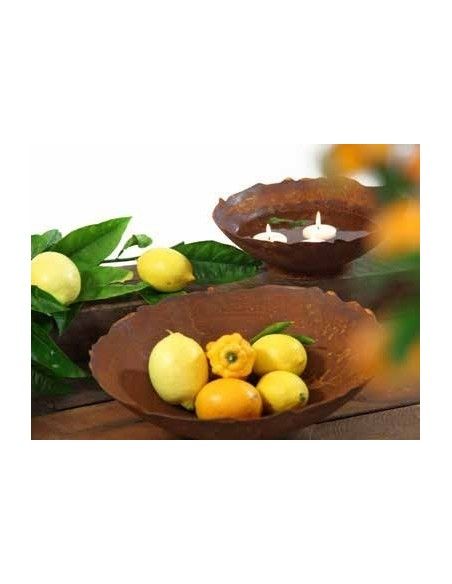 runde Pflanzschalen Ripple Schale mit leicht welligem Rand, auf Platte, Durchmesser 27 cm Schale mit welligem Rand
Innendurchme