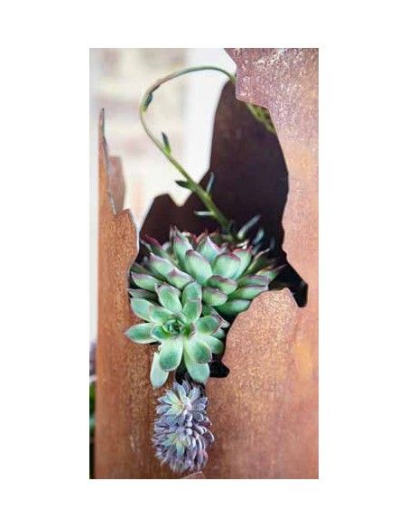 Skulpturen - Rostsäulen und Stelen  Sukkulenten Rostsäule mit Boden und  Rissen 125 cm hoch 
Höhe: 125 cm
erhöhter Zwischenbod