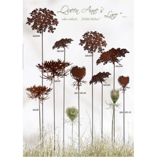 Blumenstecker Gartenstecker - Queen Anne´s Lace -  Wilde Möhre 50cm breit 
Edelrost Gartenstecker Blüte Queen Anne's Lace "Wild