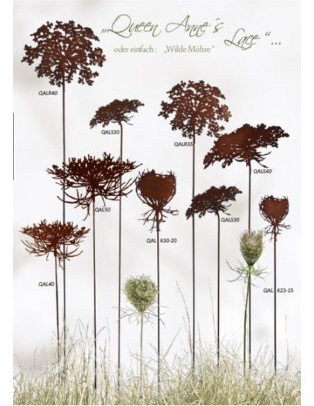 Blumenstecker Gartenstecker - Queen Anne´s Lace -  Wilde Möhre 50cm breit 
Edelrost Gartenstecker Blüte Queen Anne's Lace "Wild Blumenstecker Gartenstecker - Queen Anne´s Lace -  Wilde Möhre 50cm breit 
Edelrost Gartenstecker Blüte Queen Anne's Lace "Wild