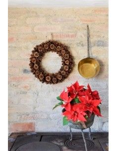 Weihnachtsdeko Zapfenkranz - Silvanus - Natur 46 cm  2