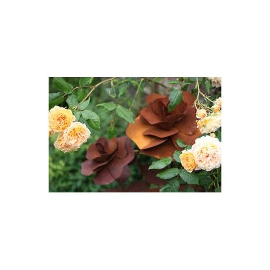 Rosen Gartenstecker Rose Ø 20 cm - ca. 85 cm Höhe - klein Höhe: ca 85 cm
Ø Blüte: ca 20 cm
