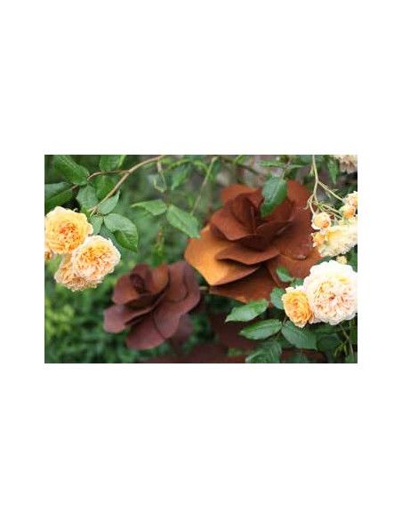 Rosen Gartenstecker Rose Ø 20 cm - ca. 85 cm Höhe - klein Höhe: ca 85 cm
Ø Blüte: ca 20 cm
