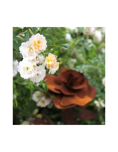 Rosen Gartenstecker Rose Ø 20 cm - ca. 85 cm Höhe - klein Höhe: ca 85 cm
Ø Blüte: ca 20 cm
