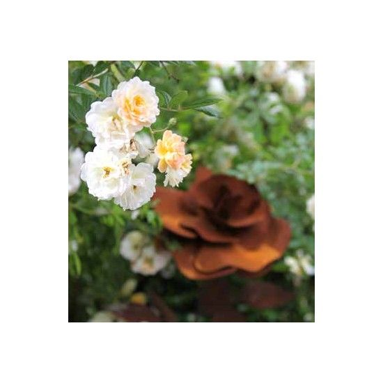 Rosen Gartenstecker Rose Ø 28 cm - ca. 100 cm Höhe - groß 
Rose ca. 100cm hoch
Blüte mit Blättern ca. 28cm Durchmesser
