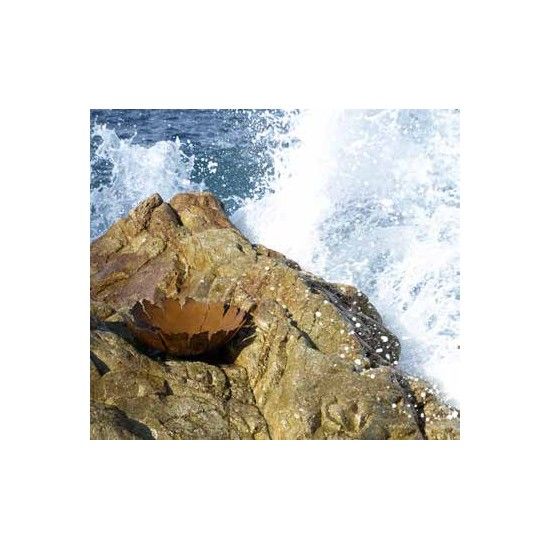 Pflanzgefäße + Schalen + Kronen Dekoschale mit Rissen auf Platte 35 cm Durchmesser Außergewöhnliche Dekoschale die Du bepflanzen