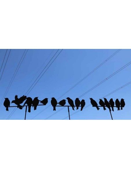 Frühling / Ostern 6 Vögel, wie auf dem -Drahtseil- sitzend - 52 cm breit - Variante B Wie ein Vogelschwarm auf der Stromleitung 
