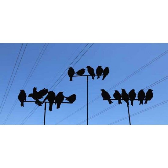Frühling / Ostern 6 Vögel, wie auf dem -Drahtseil- sitzend - 52 cm breit - Variante B Wie ein Vogelschwarm auf der Stromleitung 