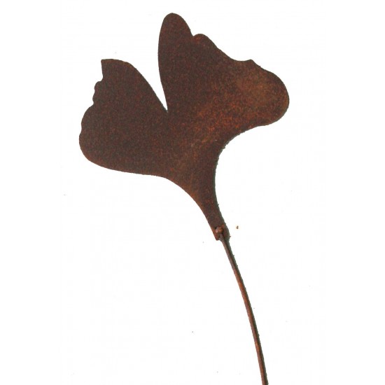 Ginkgo Clipart - Lizenzfrei - GoGraph