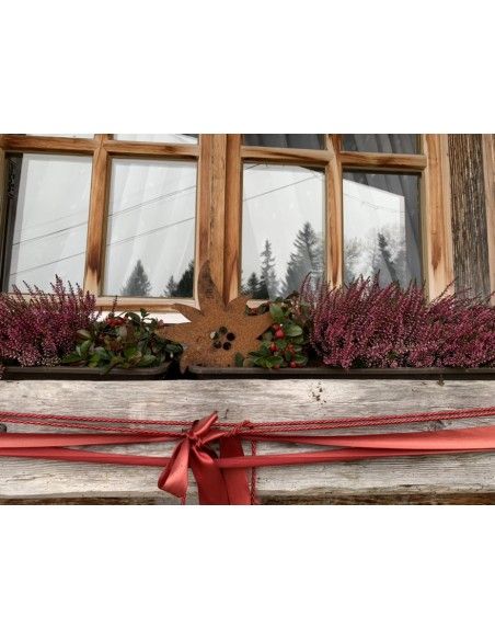 Allgäu Deko Edelrost Edelweiß zum Hängen 25cm breit Maße 25 x 23 cm
inkl. Kordel zum Aufhängen
