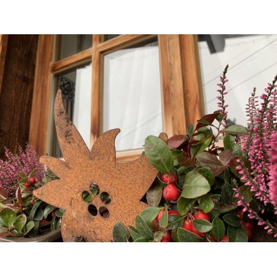 Allgäu Deko Edelrost Edelweiß zum Hängen 25cm breit Maße 25 x 23 cm
inkl. Kordel zum Aufhängen
