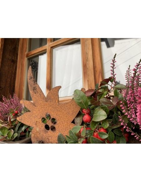 Allgäu Deko Edelrost Edelweiß zum Hängen 25cm breit Maße 25 x 23 cm
inkl. Kordel zum Aufhängen
