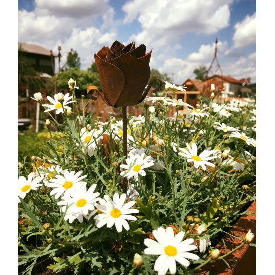 Start Rose Gartenstecker - 35 cm hoch 
Voll blühende Edelrost Rose mit 4 Blätter
Länge 35 cm
zum Stecken

Dekorationen mit 