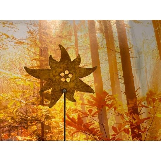 Start Edelrost Edelweiß mit Stab 25cm breit 

Gartenstecker mit Edelweiß in Rost
Breite 25 cm
Gesamtlänge inkl. Stab 122 cm
