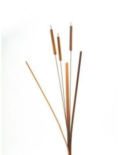 Start Rost Schilf als Gartenstecker Höhe 145 cm 
Das Edelrost Dekoschilf ist ein wunderschönes Deko Accessoire zu Stecken für I