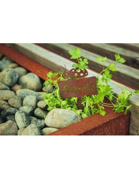 Kräuterstecker Kräuterstecker Petersilie mit Marienkäfer -  Gesamthöhe 24cm 
Gesamthöhe inkl. Stecker 24 cm
Breite 13 cm
Höhe