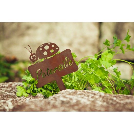 Kräuterstecker Kräuterstecker Petersilie mit Marienkäfer -  Gesamthöhe 24cm 
Gesamthöhe inkl. Stecker 24 cm
Breite 13 cm
Höhe