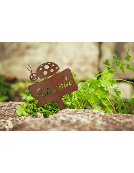 Kräuterstecker Kräuterstecker Petersilie mit Marienkäfer -  Gesamthöhe 24cm 
Gesamthöhe inkl. Stecker 24 cm
Breite 13 cm
Höhe