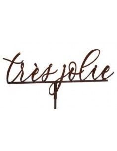 Start Gartenstecker Très Joli mit Hülse - Höhe 19,5 cm 

Gartenstecker "Très joli" mit Steckverbindung
Ø 60 cm


Hülse ca.