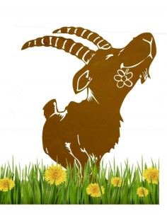 Steinbock + Murmeltier Deko  Steinbock Ferdinand groß 53 cm x 39 cm Höhe 53 cm
Breite 39 cm
auf Platte